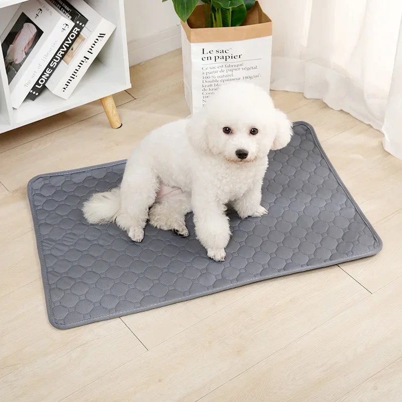 Dog Pee Pad Blanket Reusable, Absorbent Diaper