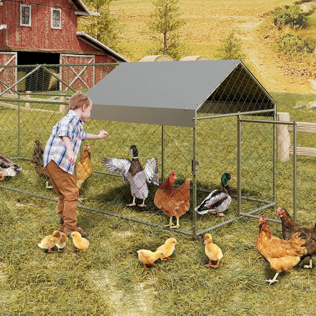 Poultry Metal Cages For Small Animals