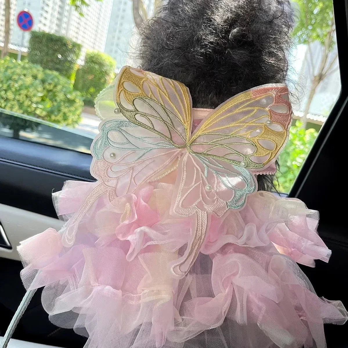 Dog /Cat Spring Princess Dress, Lace Skirt