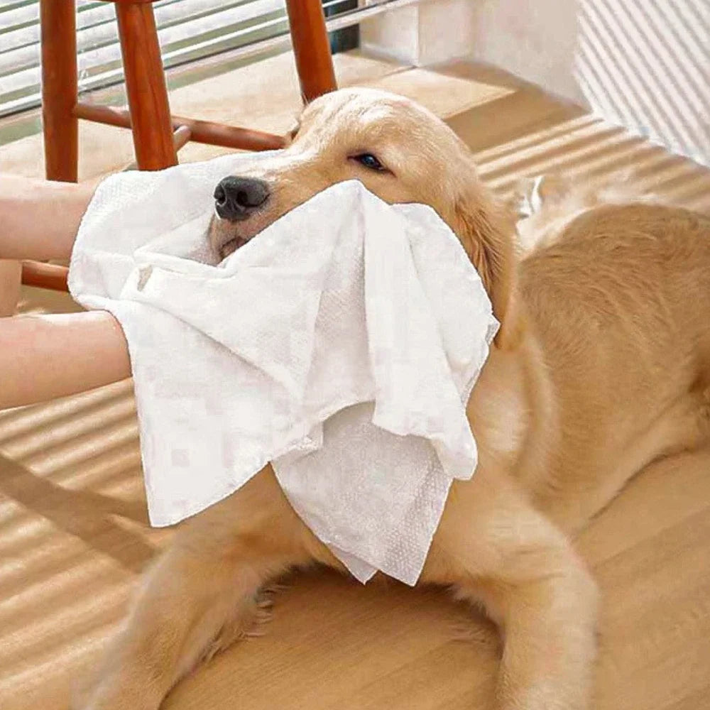 Disposable Pet Bath Towel Individually Packaged Clean Hygienic Disposable Thickened Cotton for Dog Cat Pet Supplies