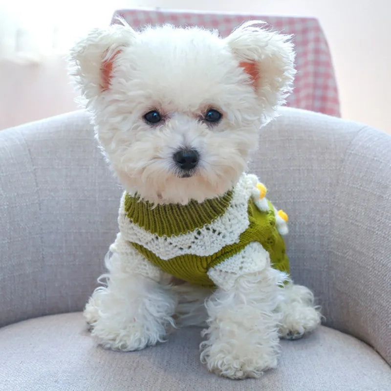 Cute Warm Dog Sweater with Knitted Blossoming Flowers