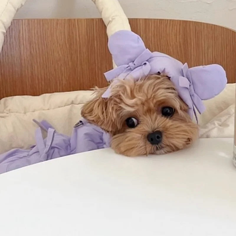 Winter Soft Dog Clothes -Fashion Down Jacket