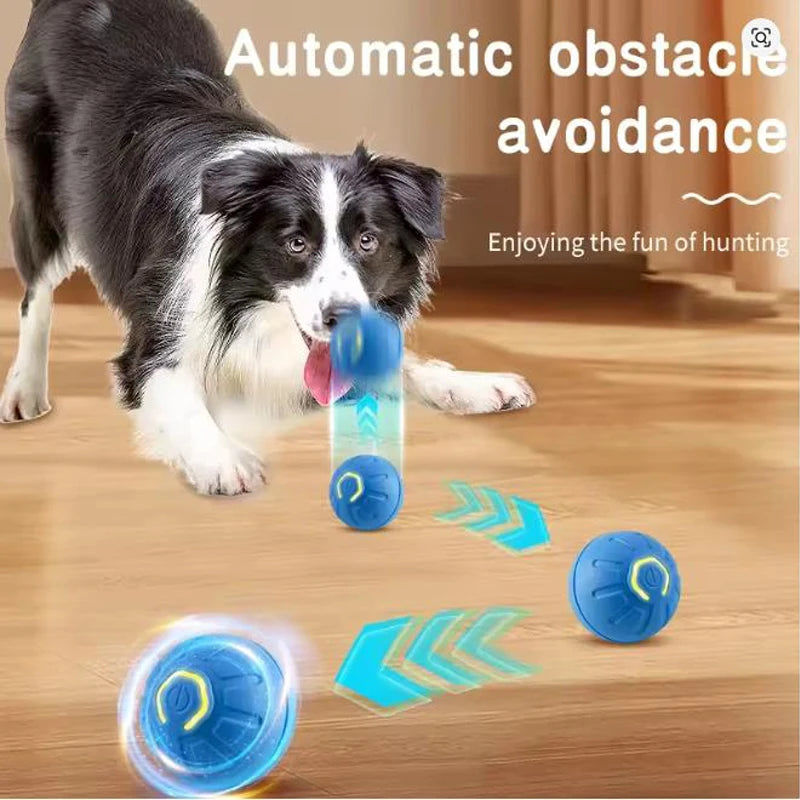 Electronic, Intelligent, Interactive Pet Toy Ball