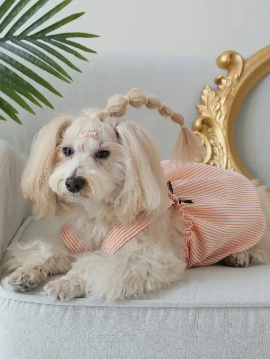 Striped Print Bow Pet Dress