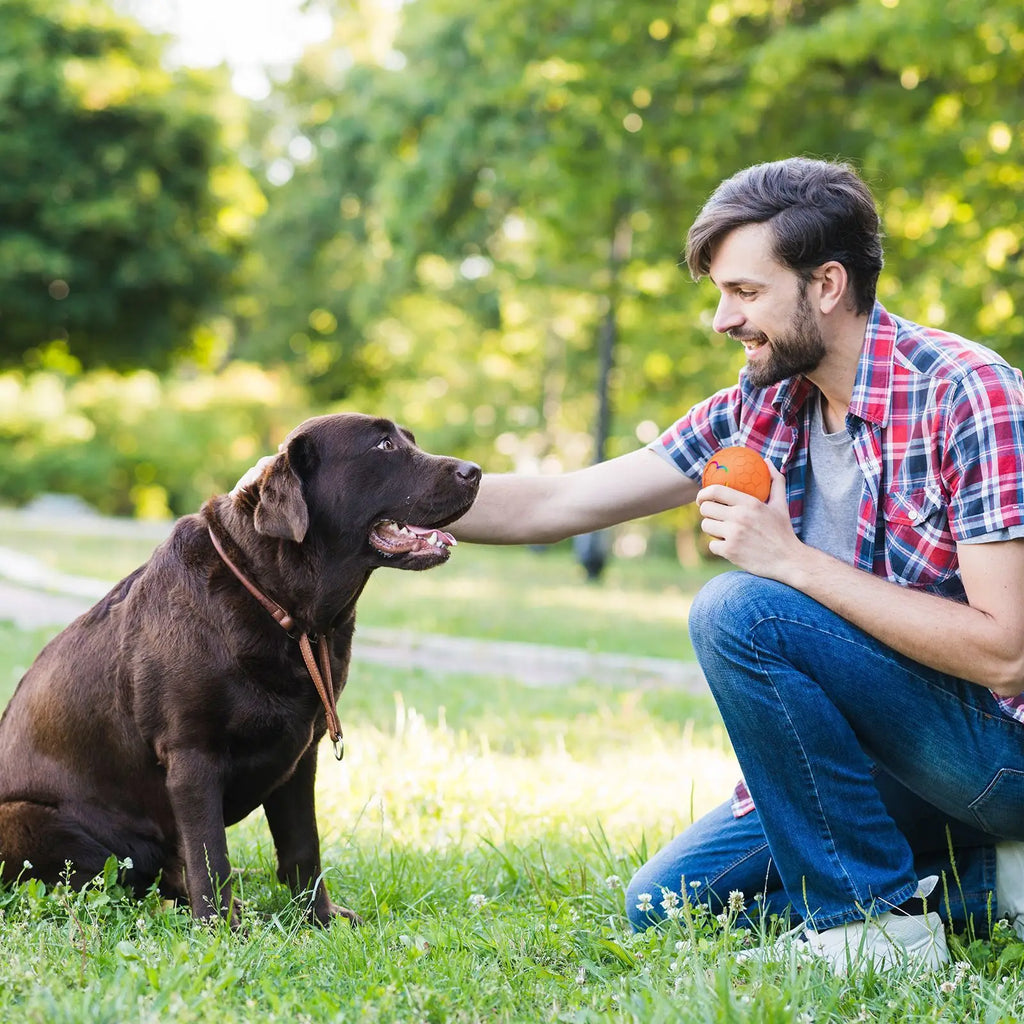 Smart Electronic Interactive Pet Toy Ball