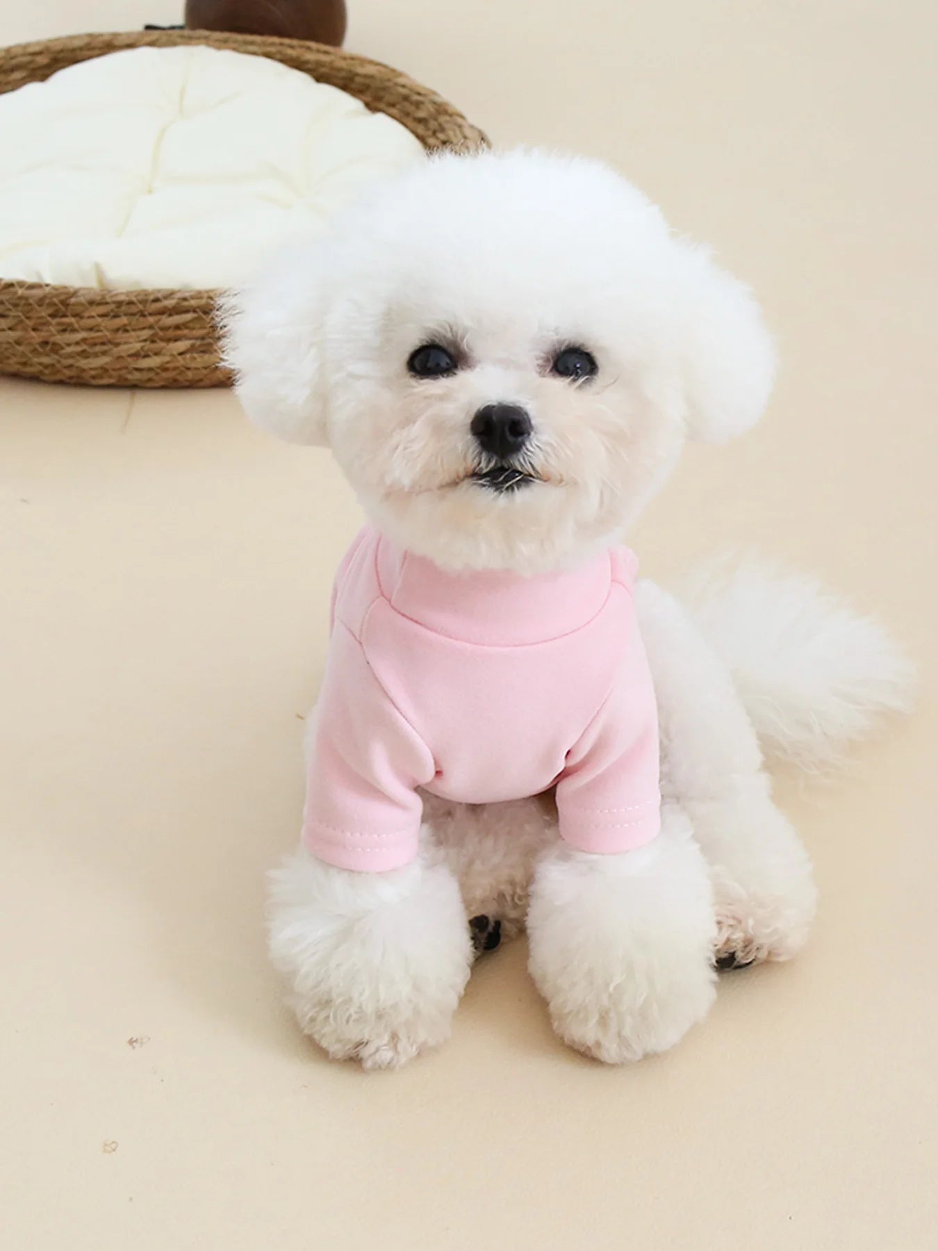 Autumn and Winter Pet Solid Color Warm Hoodie