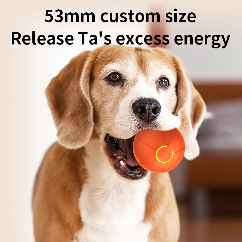 Smart Pet Toy Ball Automatic, Interactive, Rechargeable