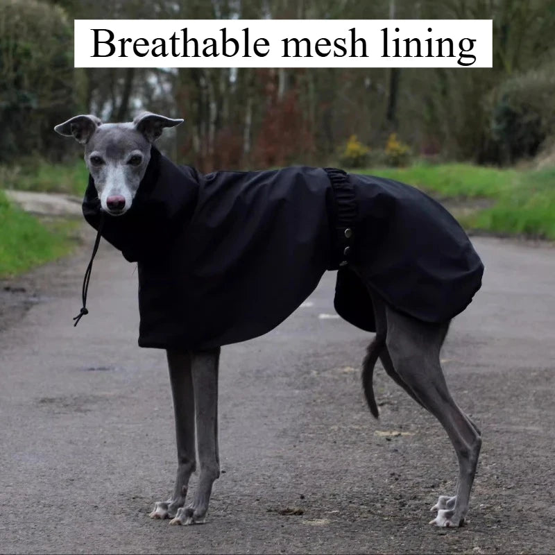 Waterproof Dog Raincoat, Luxury Whippet Greyhound Dog Raincoats Jacket Doberman Pinscher Raincoat Outdoor Walking