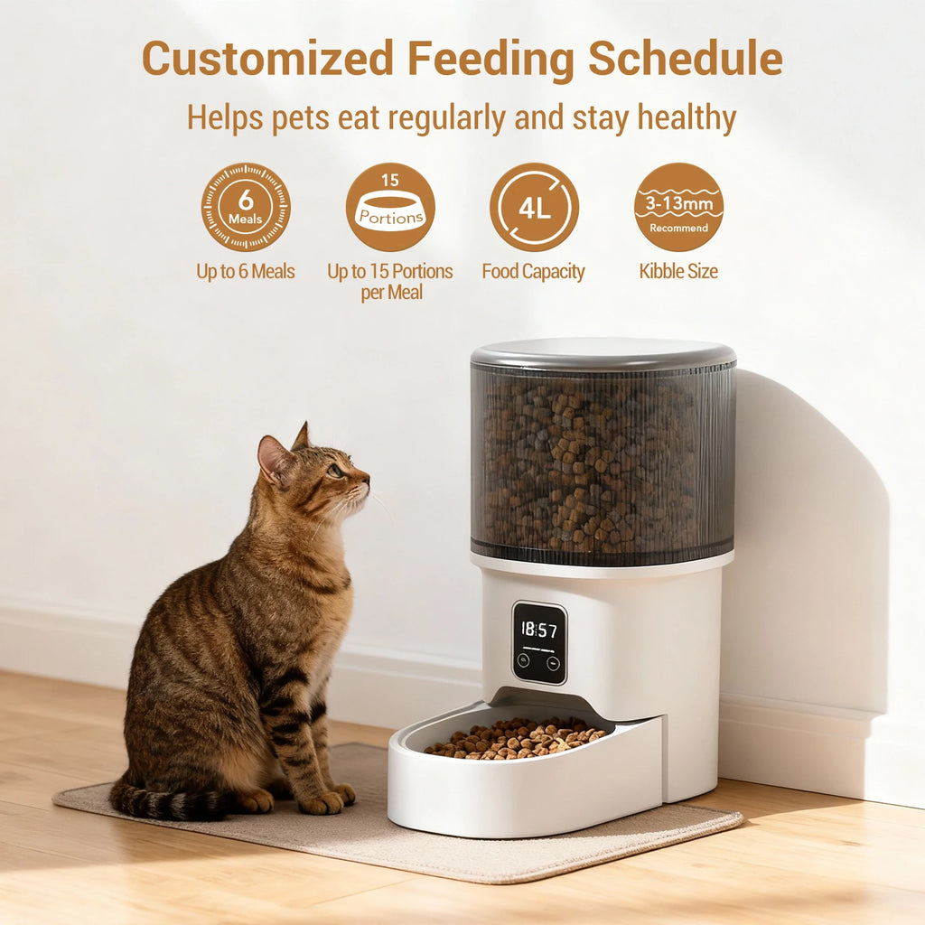 Programmable 4L Automatic Pet Feeder For Small Cats