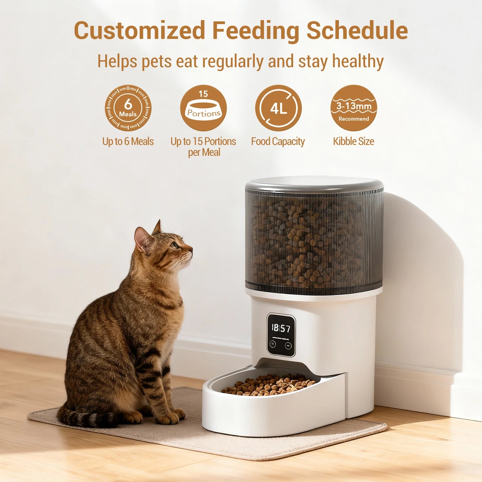 Programmable 4L Automatic Pet Feeder For Small Cats