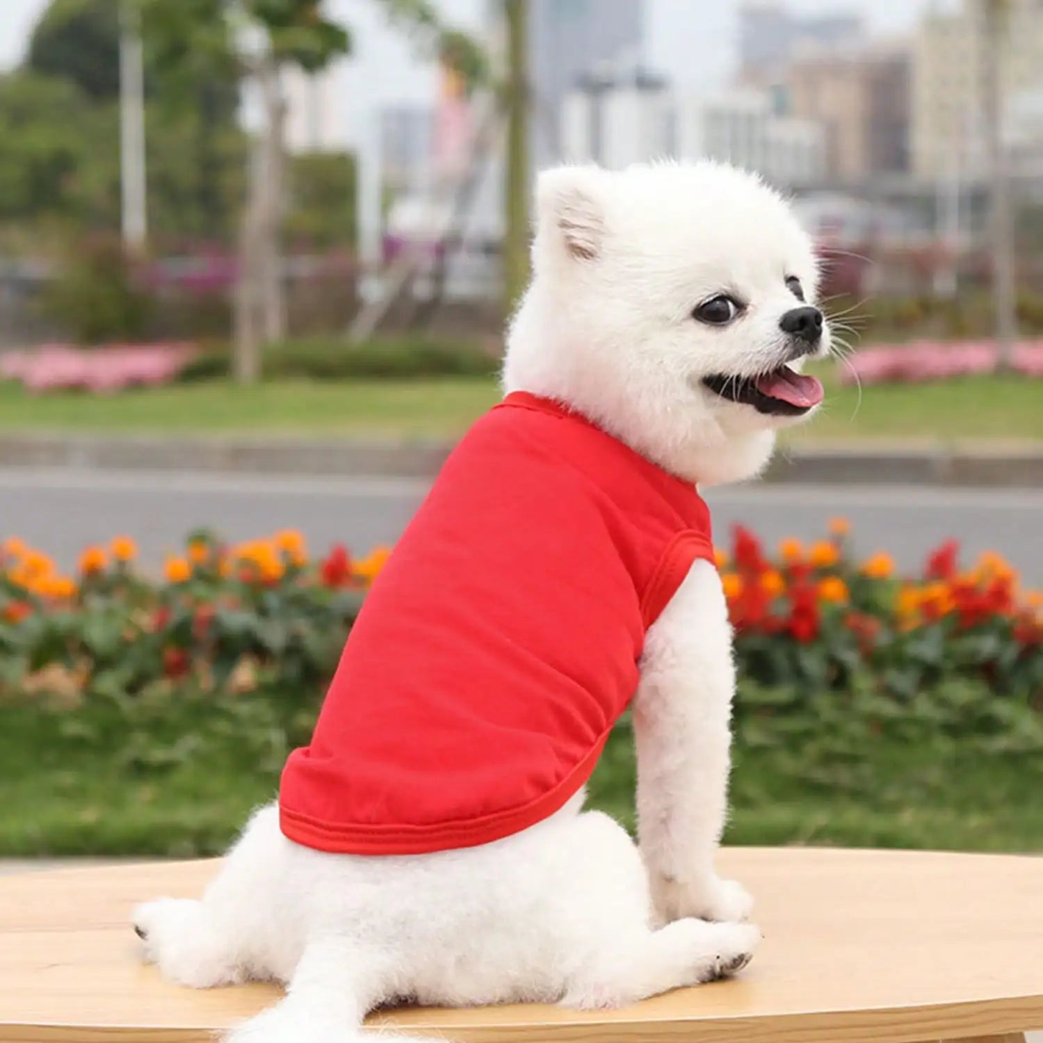 1pcs Pet Clothes for Small/ Medium Dogs