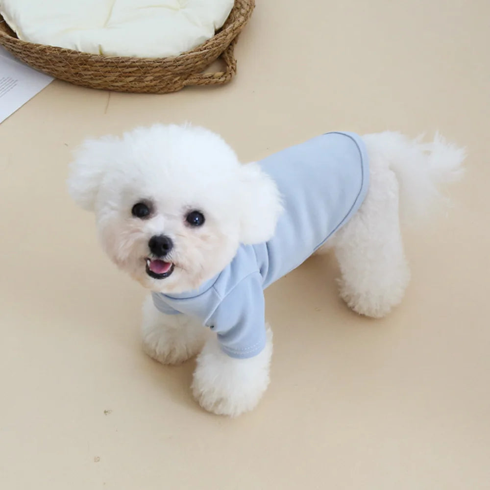 Autumn and Winter Pet Solid Color Warm Hoodie