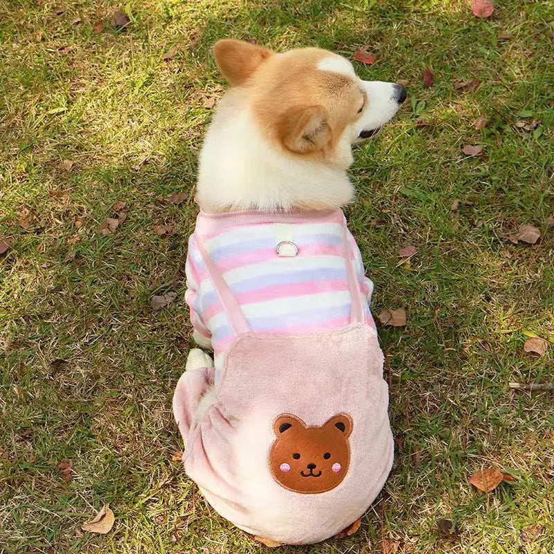 Autumn /Winter Pet Soft Fleece Clothes