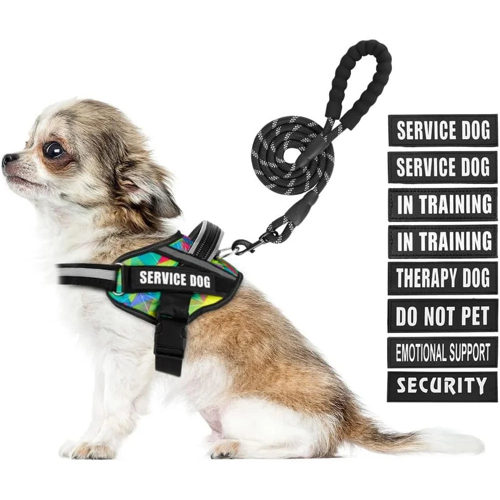 Service Dog Harness with Leash  10 Patches Multi Color Training Vest