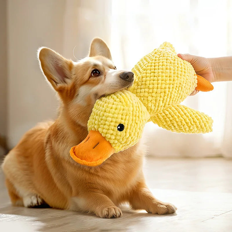 Indestructible Cat/ Dog Toys for Aggressive Chewers