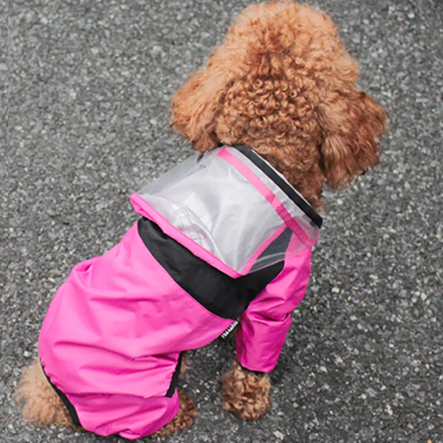 Water Resistant Clothes for Dogs