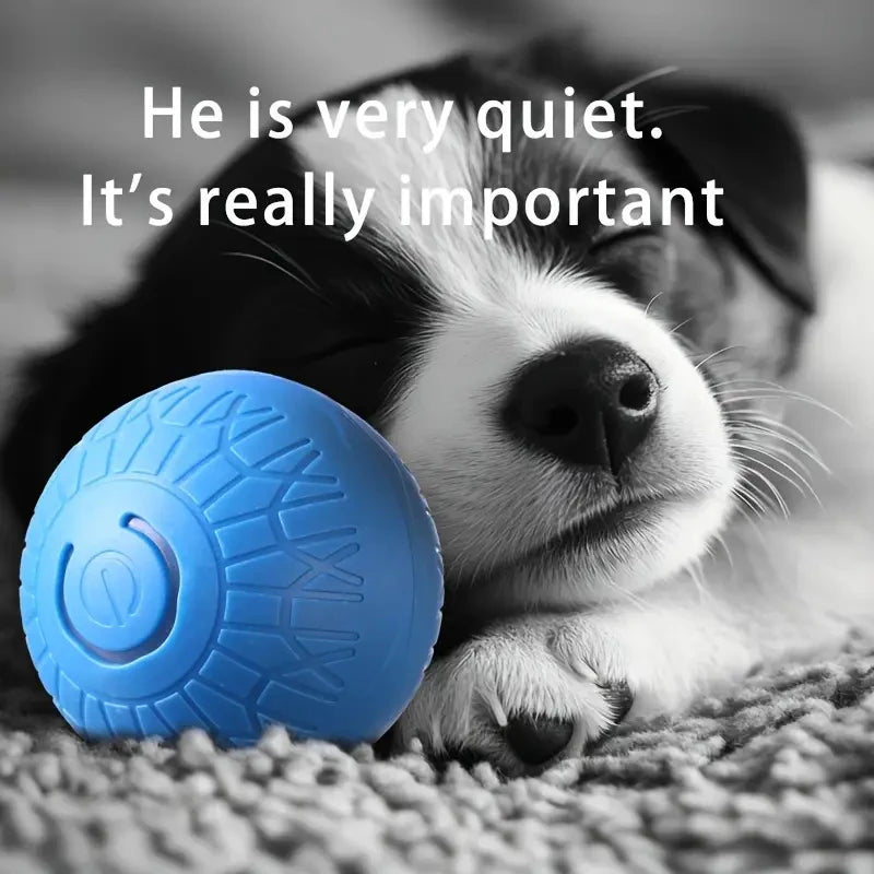 Smart Pet Toy Ball Automatic, Interactive, Rechargeable