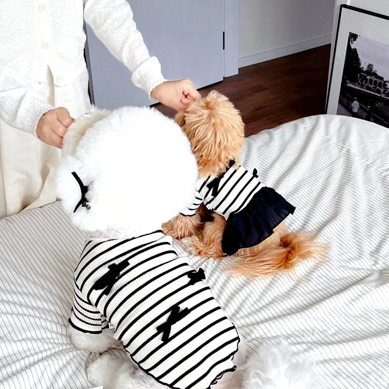 Luxury Dog Clothes Bow Striped Print