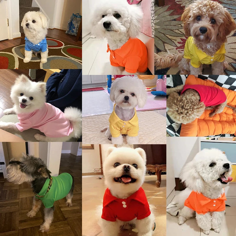 Spring Dog Shirts 6 Candy Colors Vests
