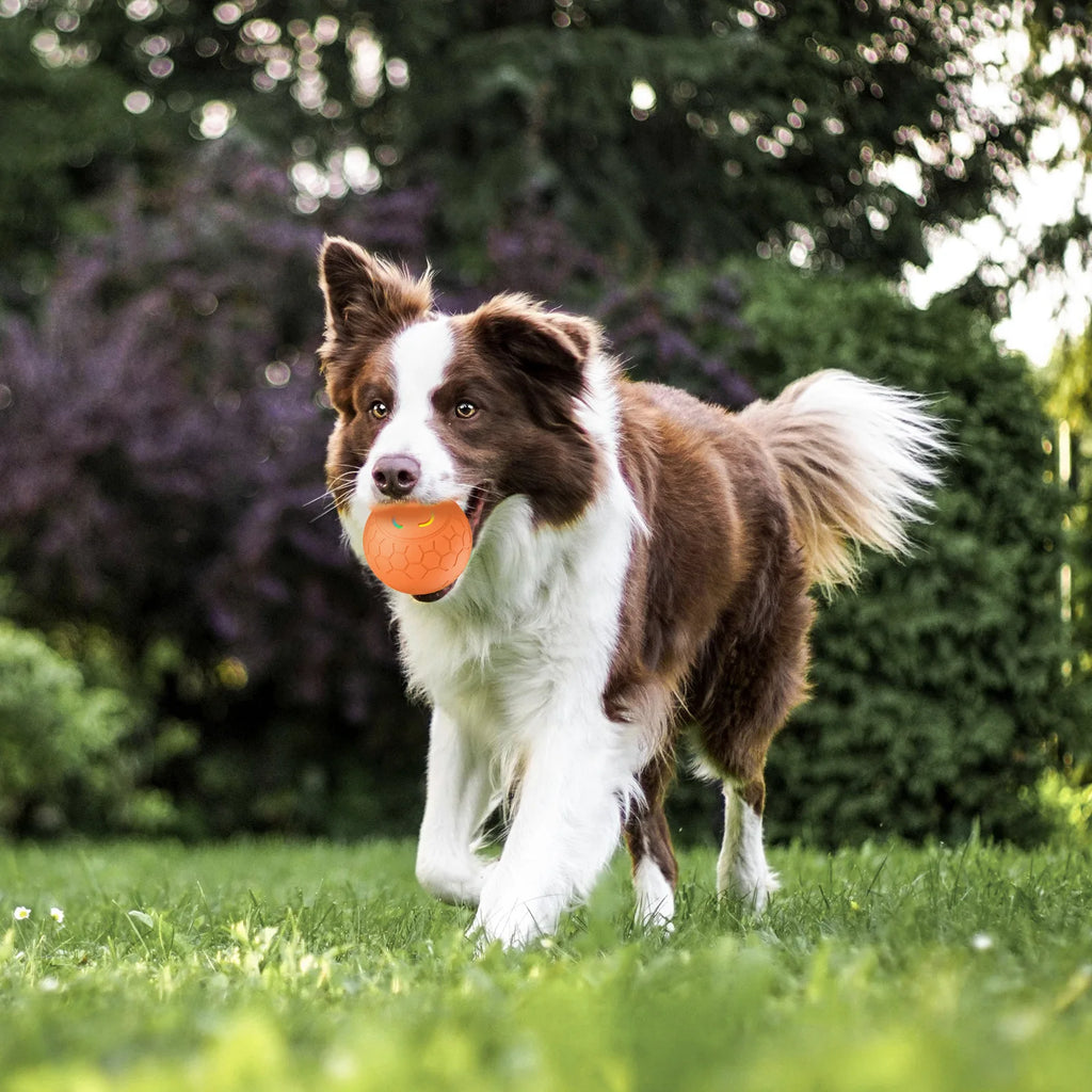 Smart Electronic Interactive Pet Toy Ball