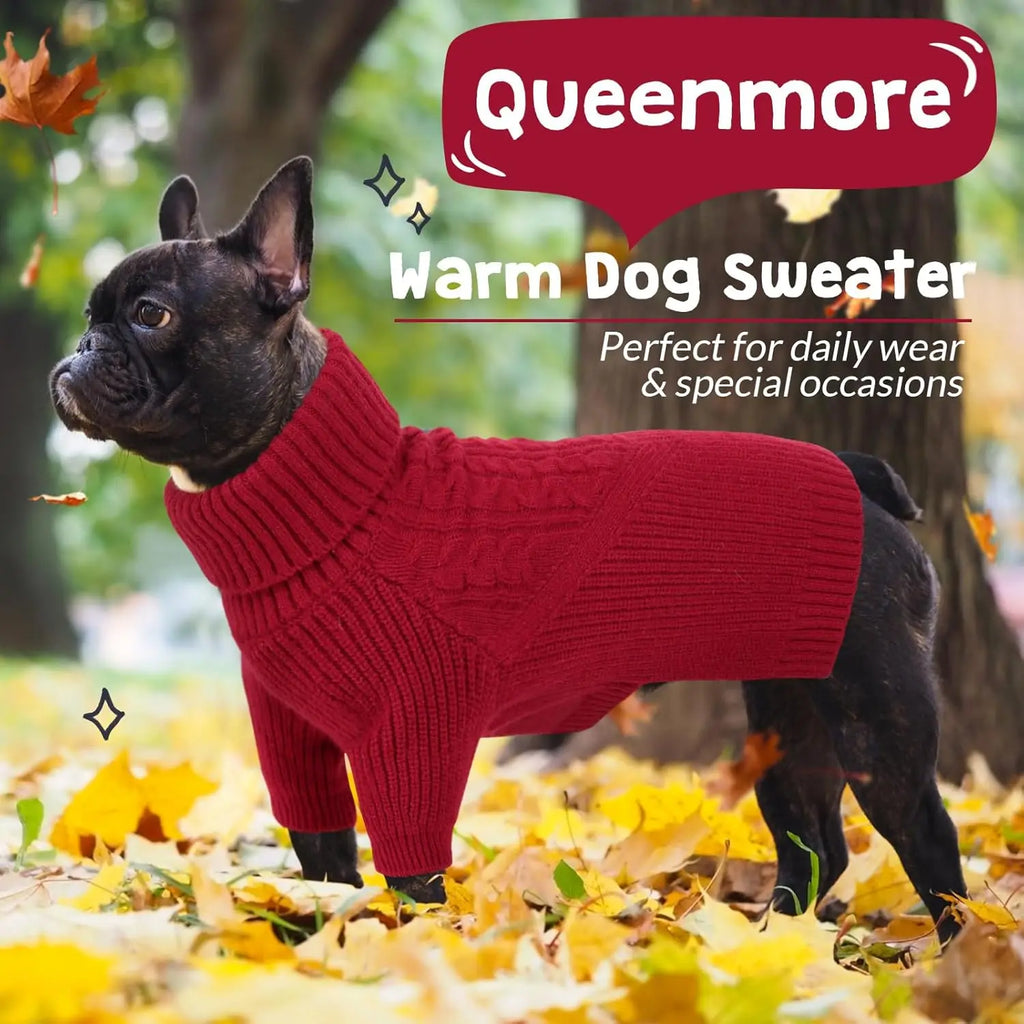 Warm Winter Dog Sweater