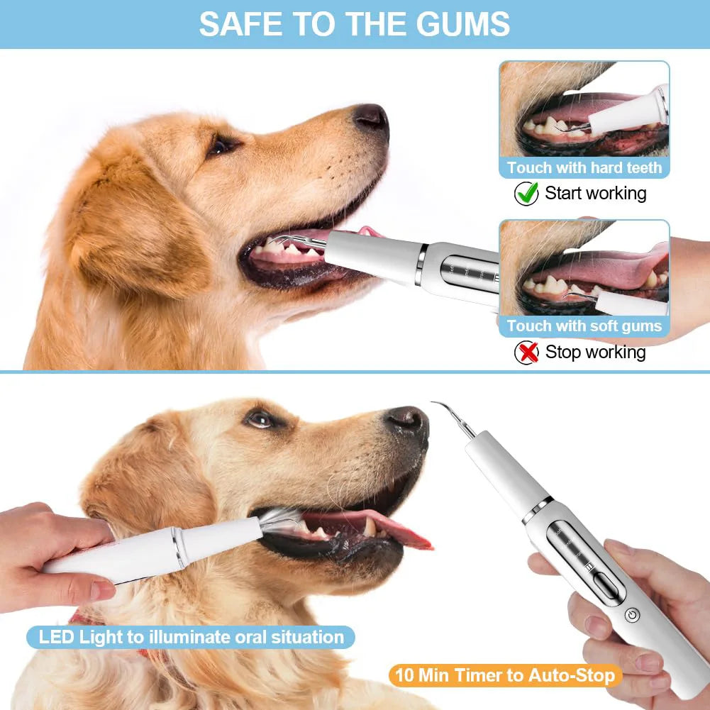 Dog Tooth Calculus Device Ultrasonic Toothbrush