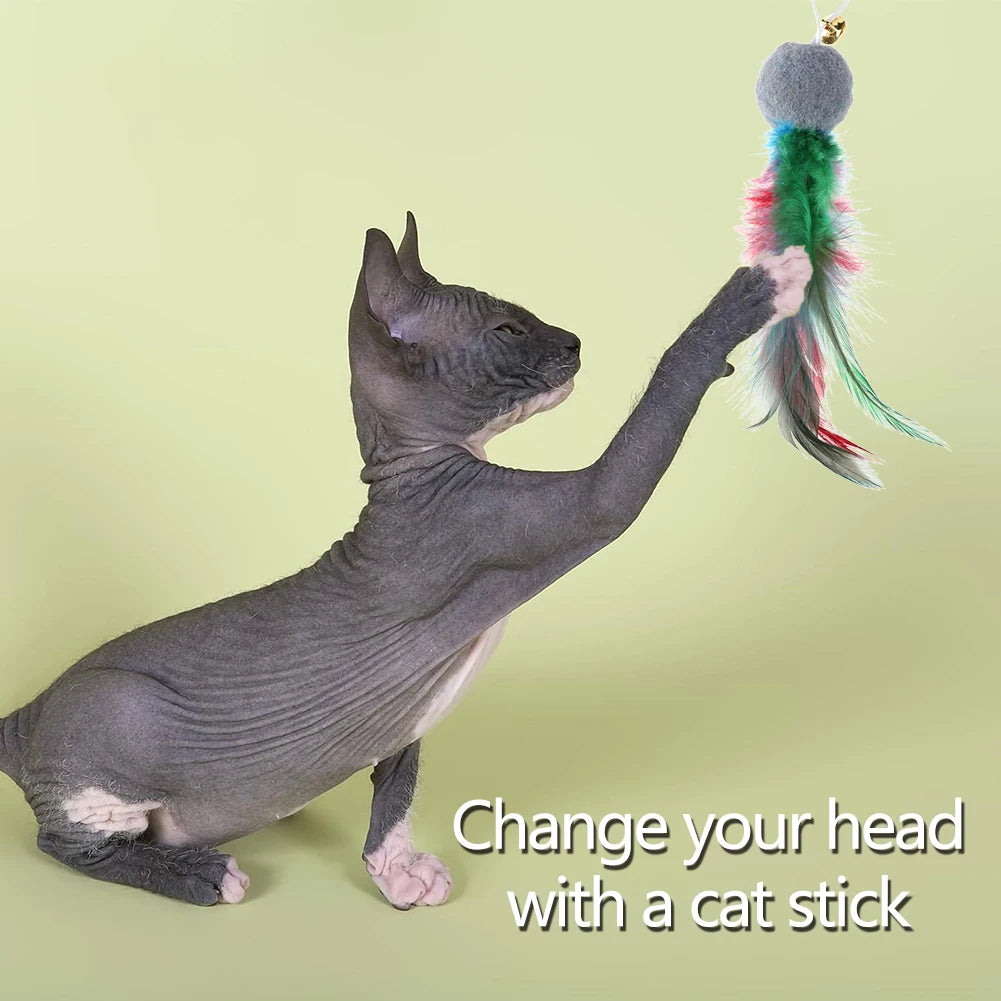 10 Pcs Replacement Cat Feather Toys