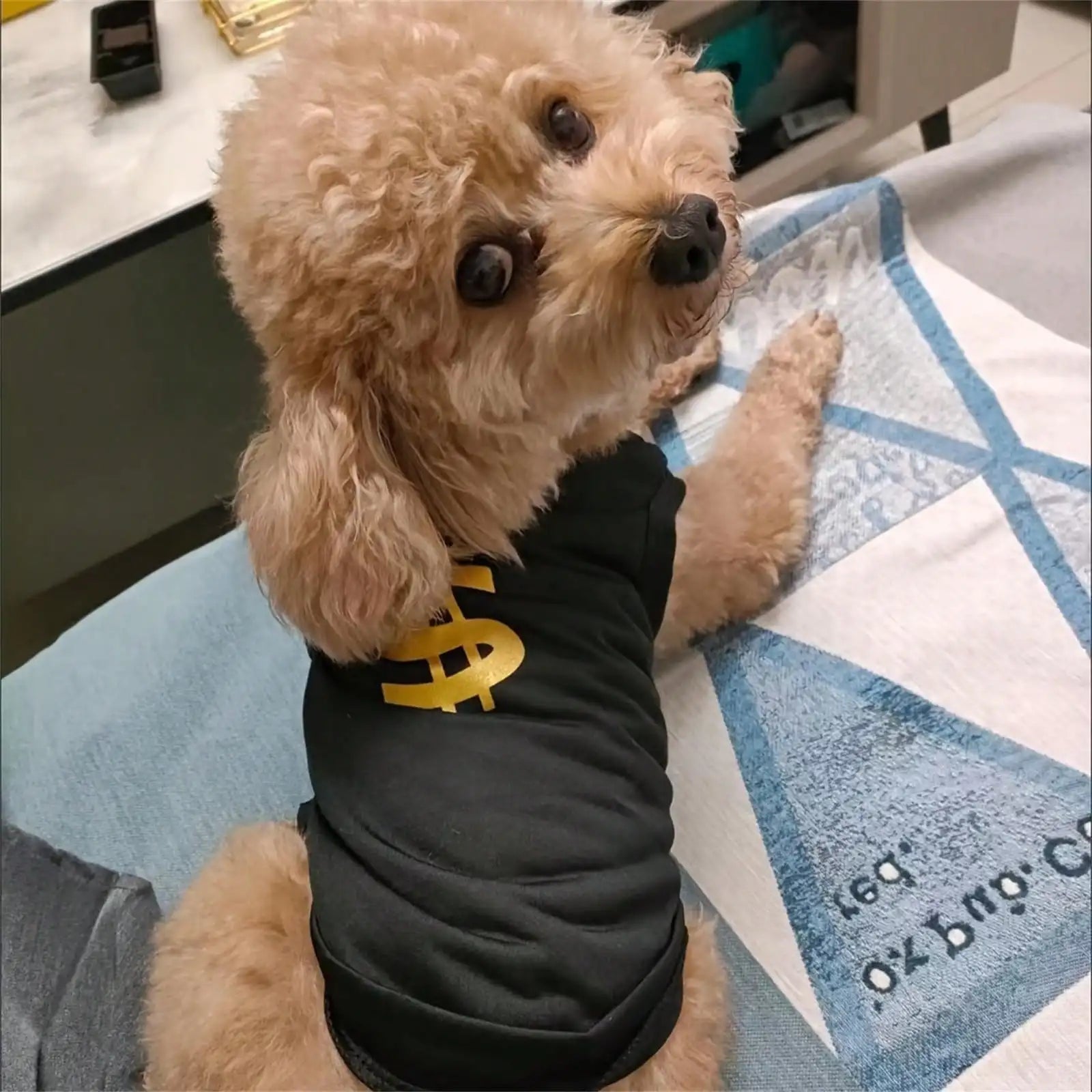 Pet Dogs Summer T Shirt Breathable Mesh Vest Apparel