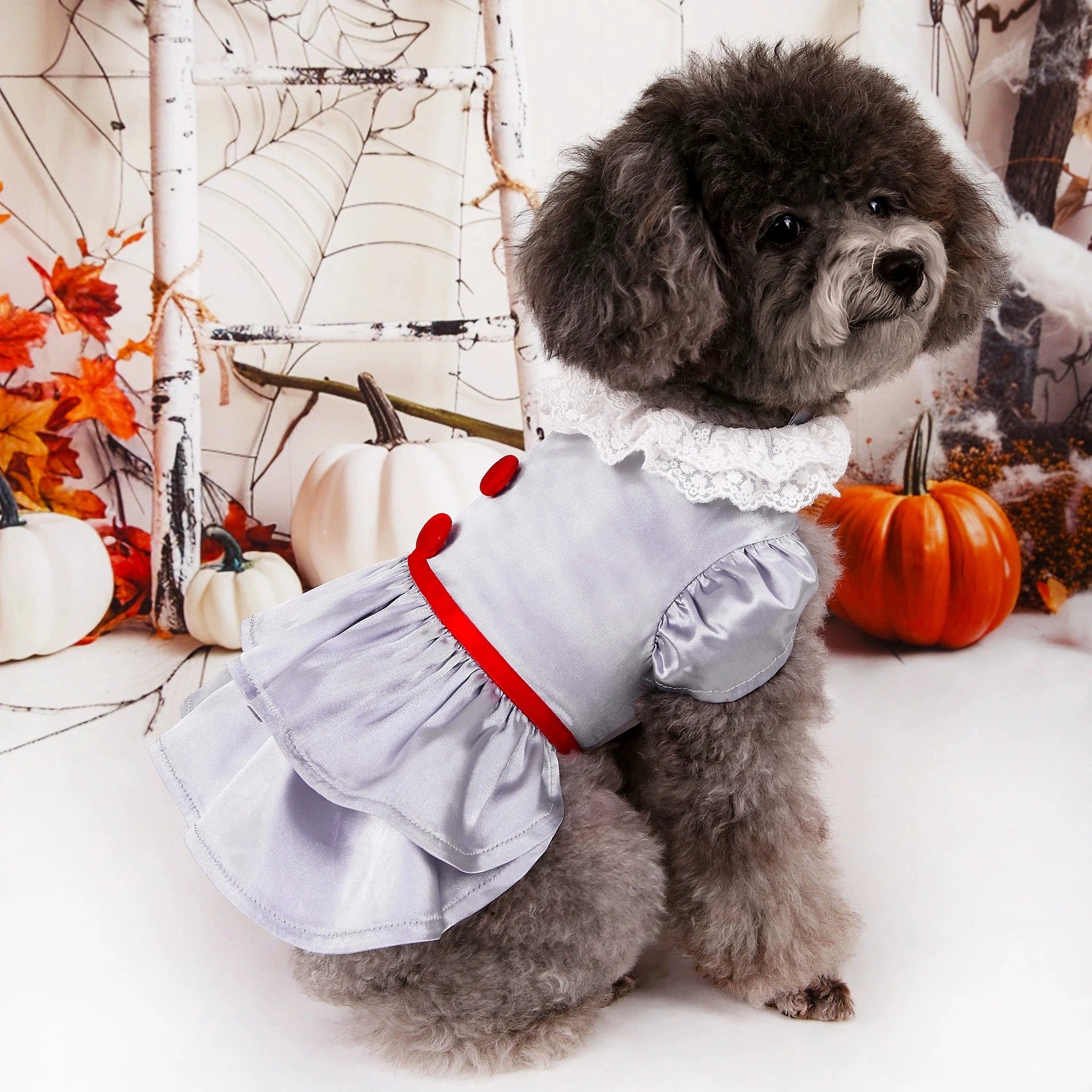 Halloween Pet Costume Joker Dress Apparel