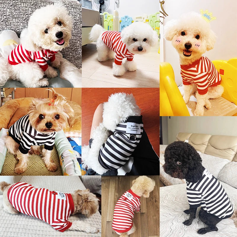 Winter Dog Clothes, Cute Cartoon Warm Hoodie
