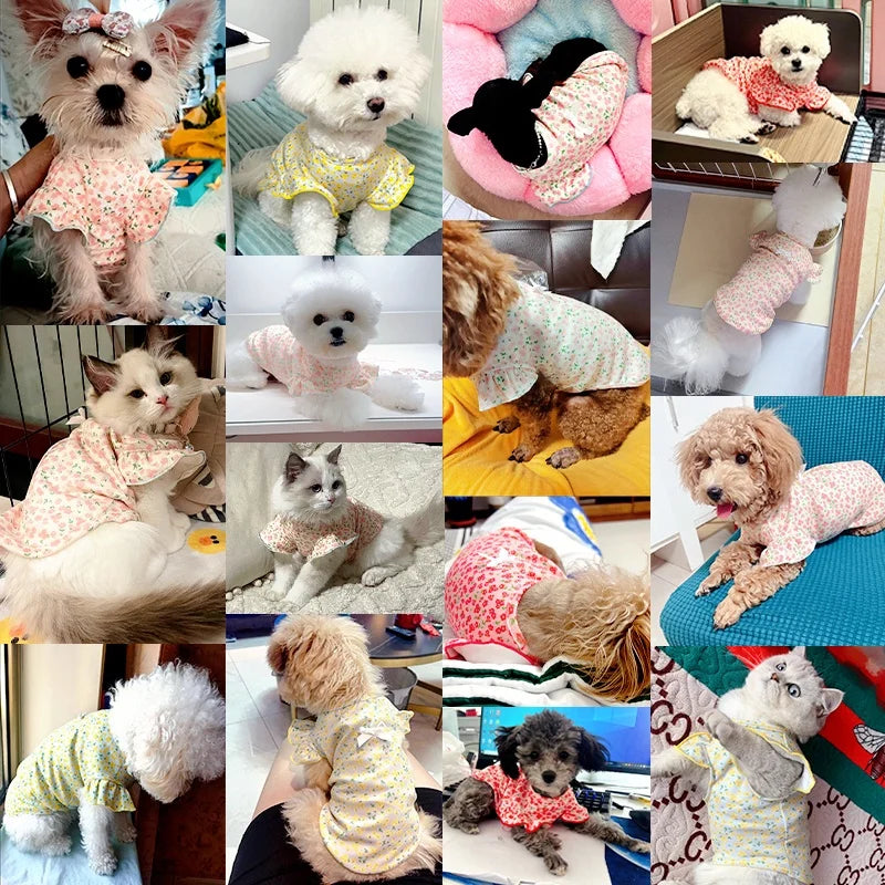 Luxury Dog Clothes Floral Print Dog Vest