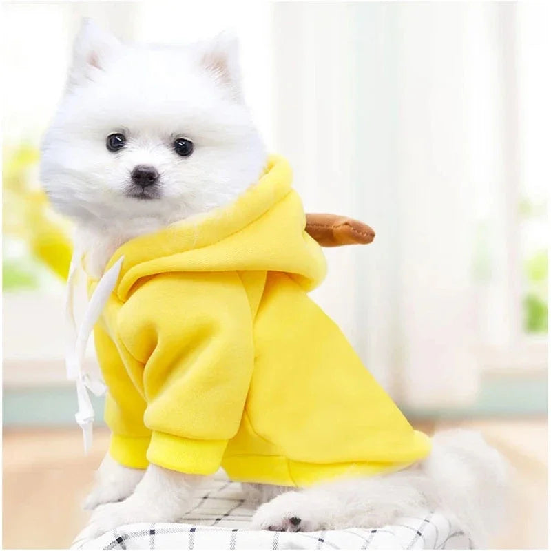 Cute Fruit Dog Clothes for Dogs/Cats