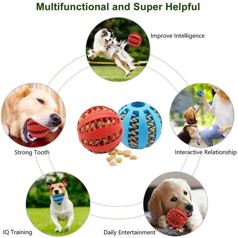 Nontoxic Bite Resistant Toy Ball for Pets