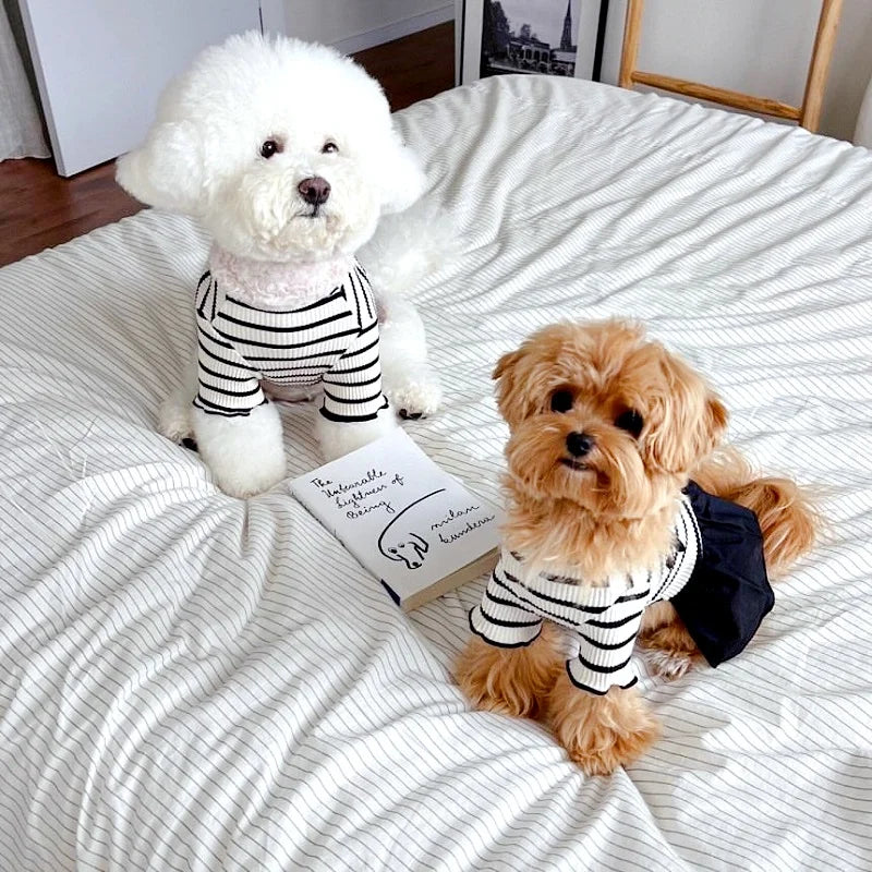 Luxury Dog Clothes Bow Striped Print