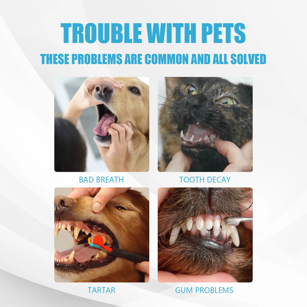 Pet Toothpaste Removes Plaque   Whitens Teeth