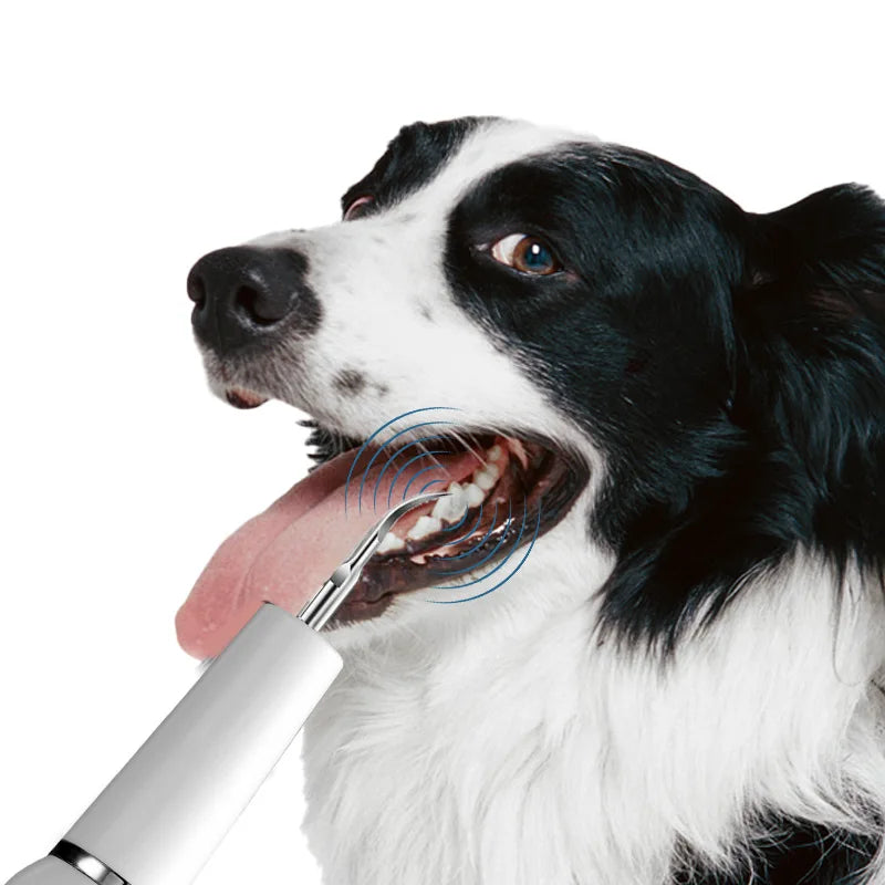 Dog Tooth Calculus Device Ultrasonic Toothbrush