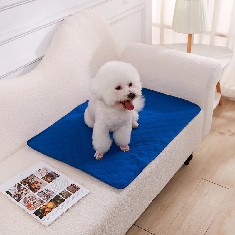 Dog Pee Pad Blanket Reusable, Absorbent Diaper