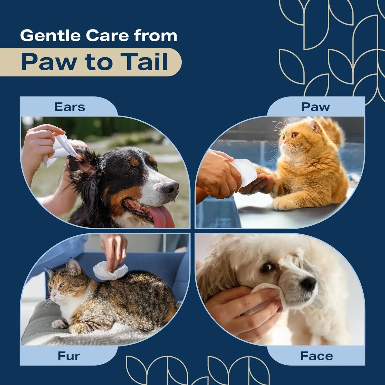 Lavender Pet Wipes for Paws and Butt