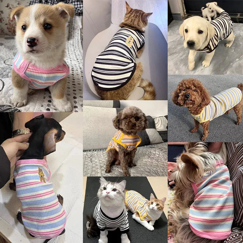 Summer Pet Clothes Bear Print Striped Shirts  Thin Vest Puppy Cat Soft Vest Fashion Pet Costume French Bulldog Clothes
