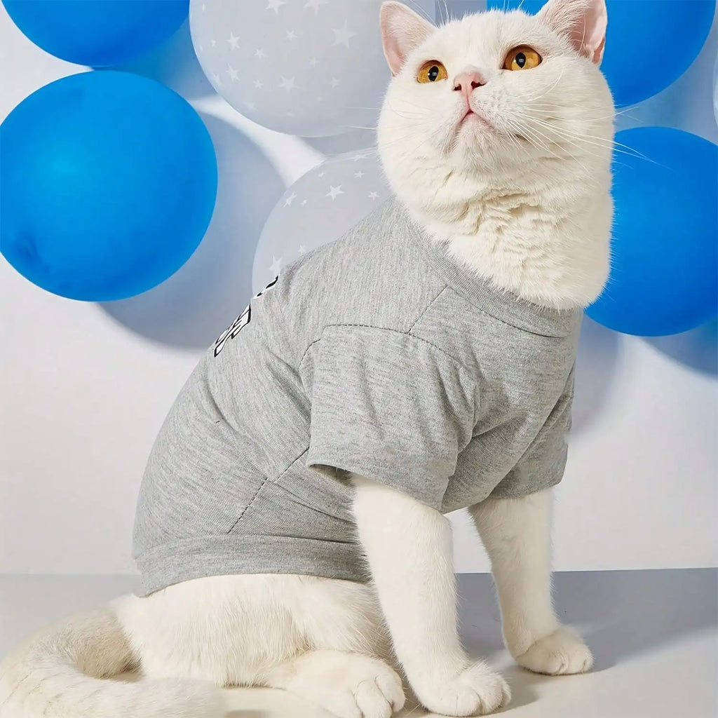 1pc Cute "Babe Magnet"   Breathable Vest