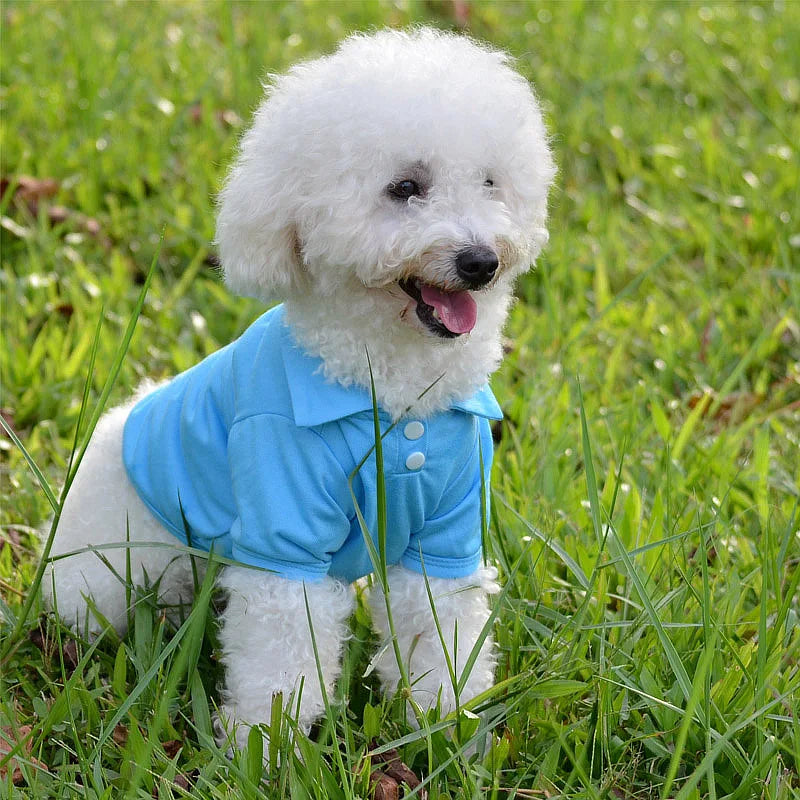 Spring Dog Shirts 6 Candy Colors Vests