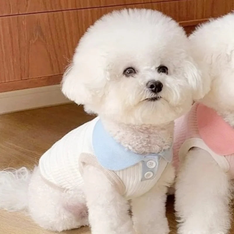 Summer Pet Polo Shirt, Breathable Cute Fashion Vest          Cute Solid Cat Shirt Soft Pet Costumes Chihuahua Dog Clothes