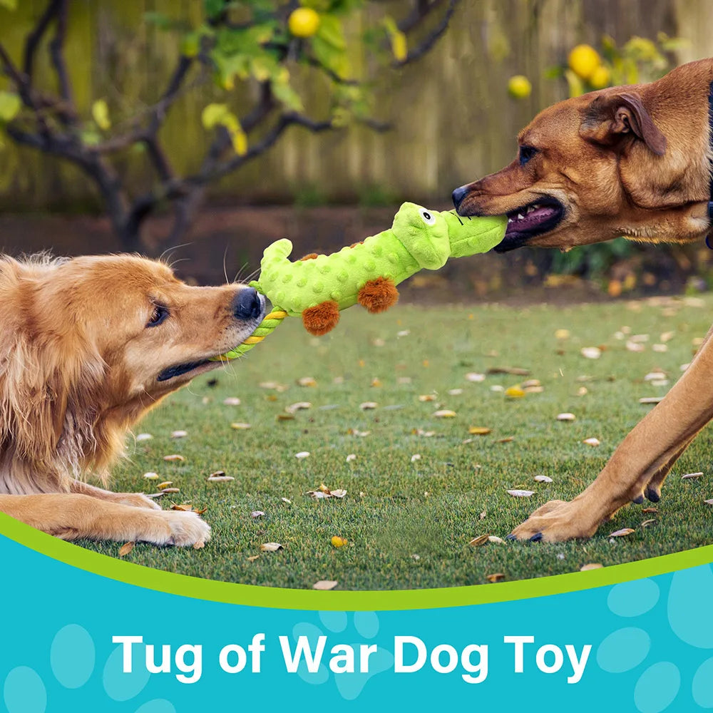 2 Pack, Dog Squeaky Interactive Toys