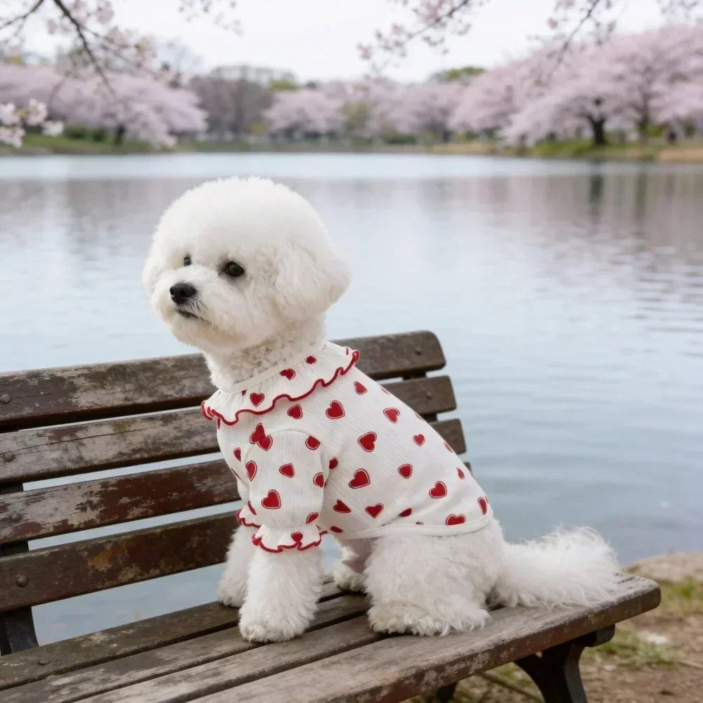 Clothes for Small Dogs/Cats Ruffle Collar