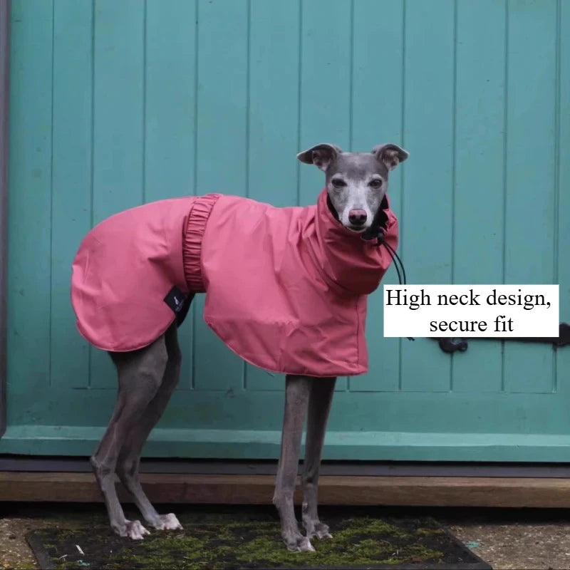 Waterproof Dog Raincoat, Luxury Whippet Greyhound Dog Raincoats Jacket Doberman Pinscher Raincoat Outdoor Walking
