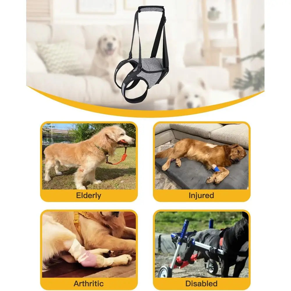 Adjustable Padded Harness for Elderly Dog