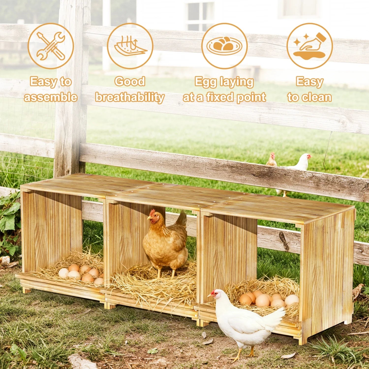 3-Compartment Pine Wood Chicken Nesting Box