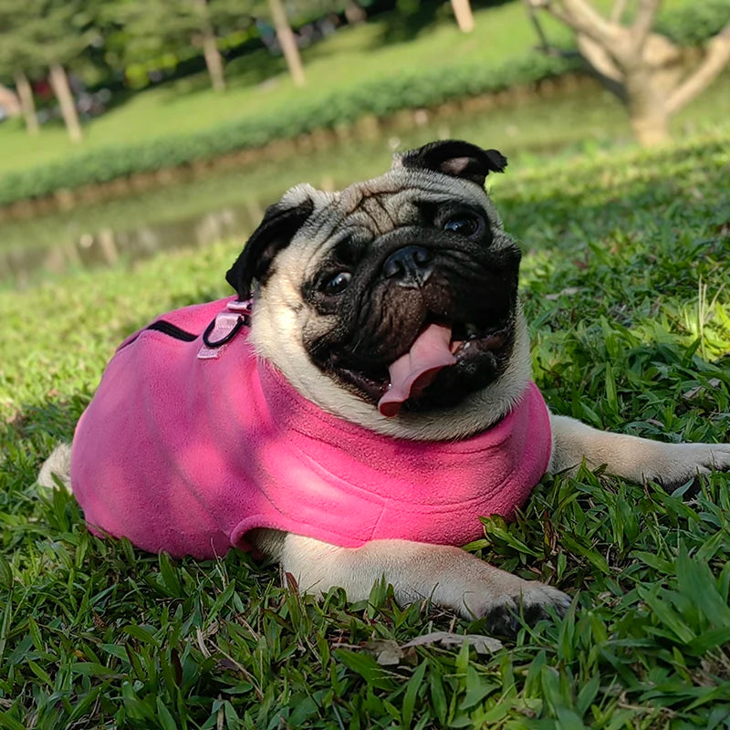 Winter Fleece Clothes For Small, Medium Dogs