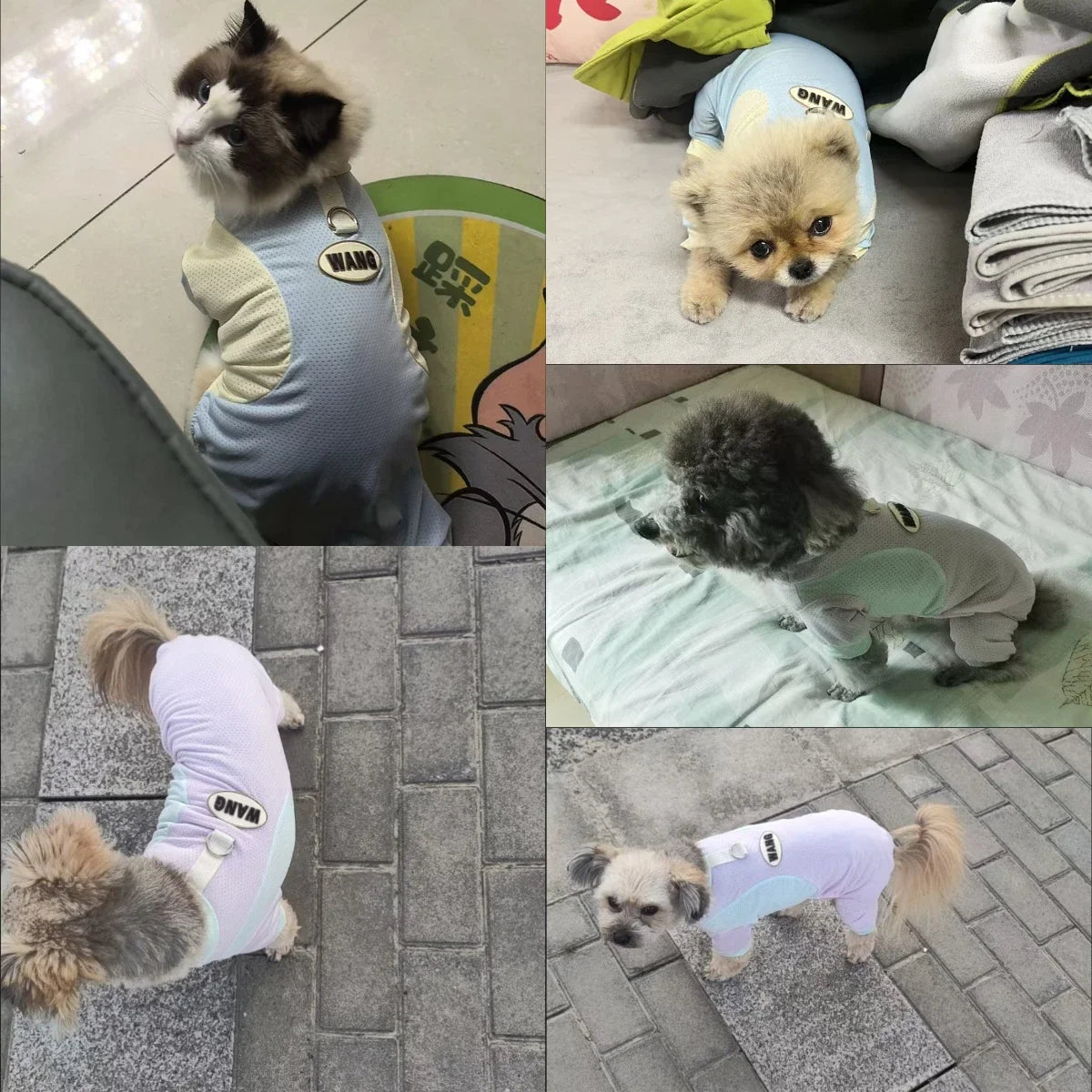 Summer Pet Dog Cooling Jumpsuit