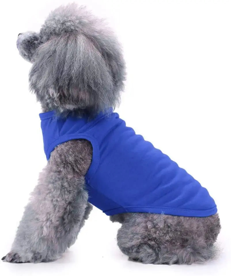 Dog Shirt Clothes, Spring/Summer T- Shirt Apparel